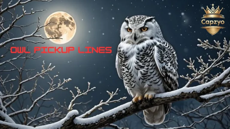 Owl Pickup Lines