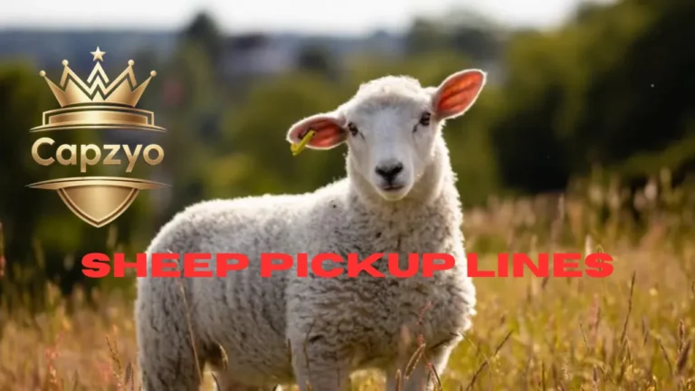 Sheep Pickup Lines