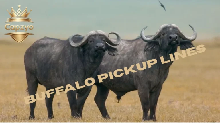 Buffalo Pickup Lines