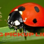 Bug Pickup Lines