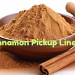 Cinnamon Pickup Lines