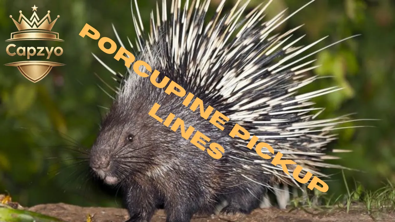 Porcupine Pickup Lines