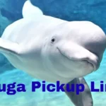 Beluga pickup lines