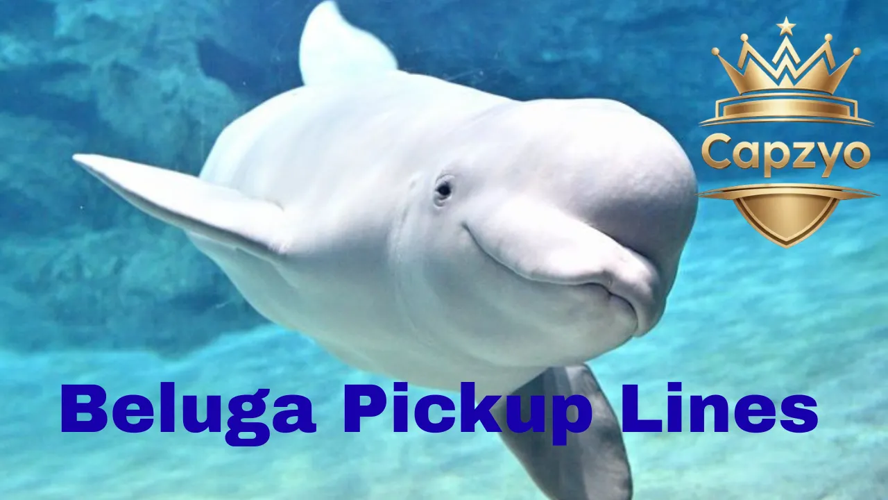 Beluga pickup lines