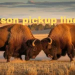 Bison Pickup Lines