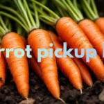 Carrot pickup lines