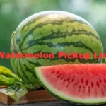 Watermelon Pickup Lines