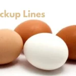 Egg Pickup Lines